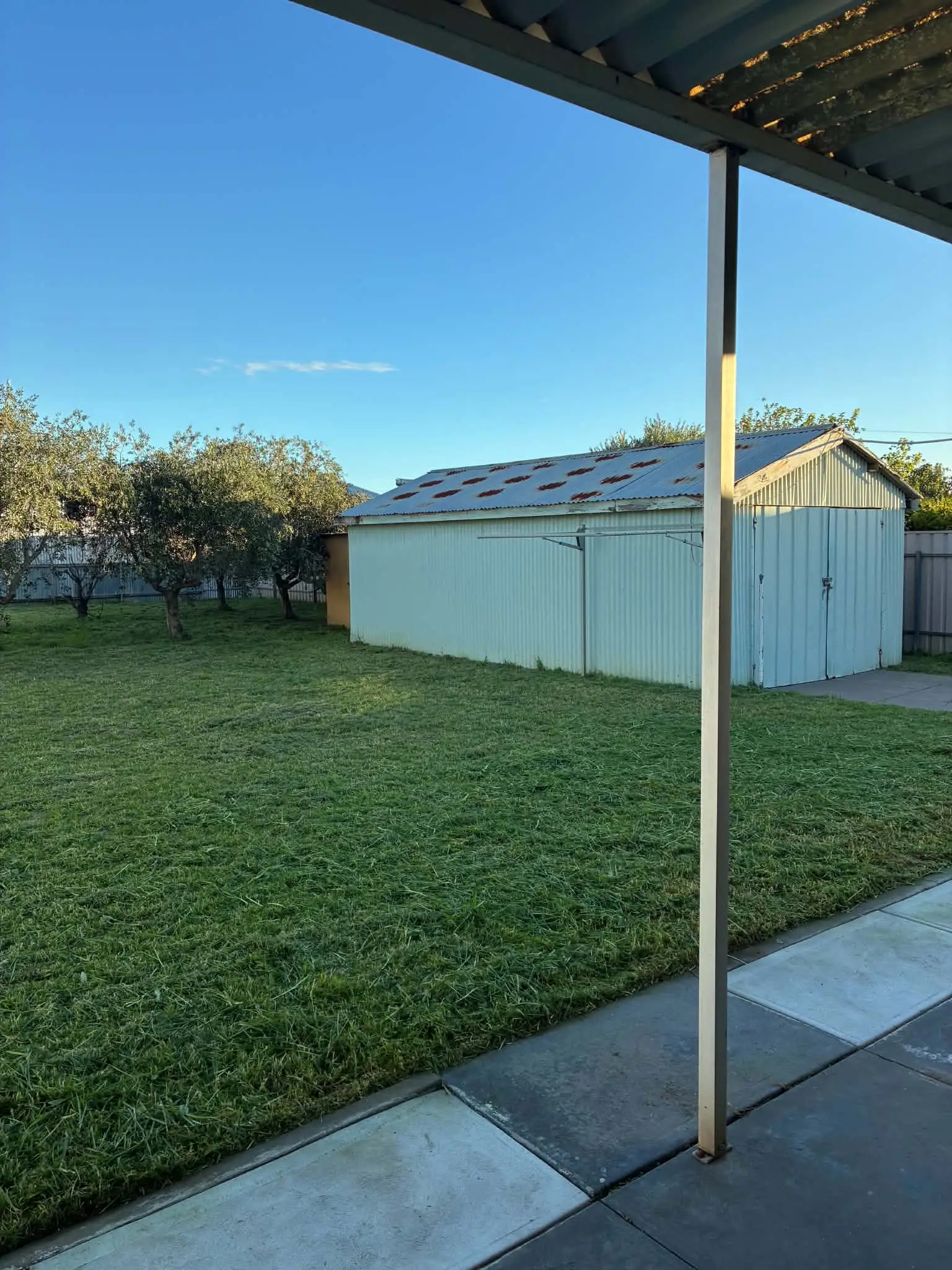 A mown back lawn beside a garden shed, seen from under the pergola.