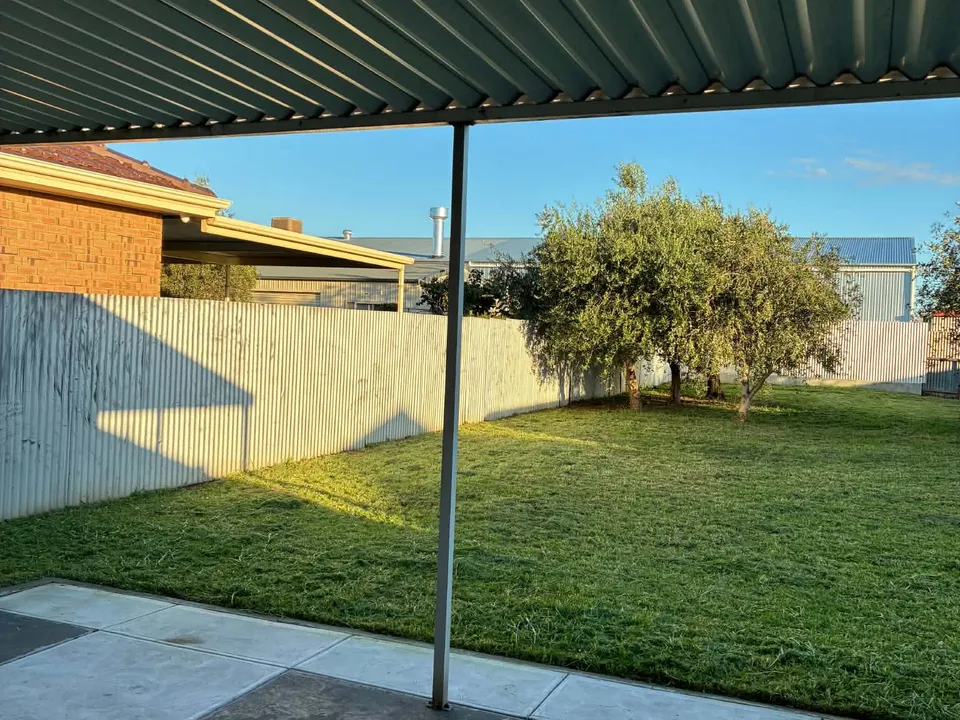 The same back yard with the lawn mown short.