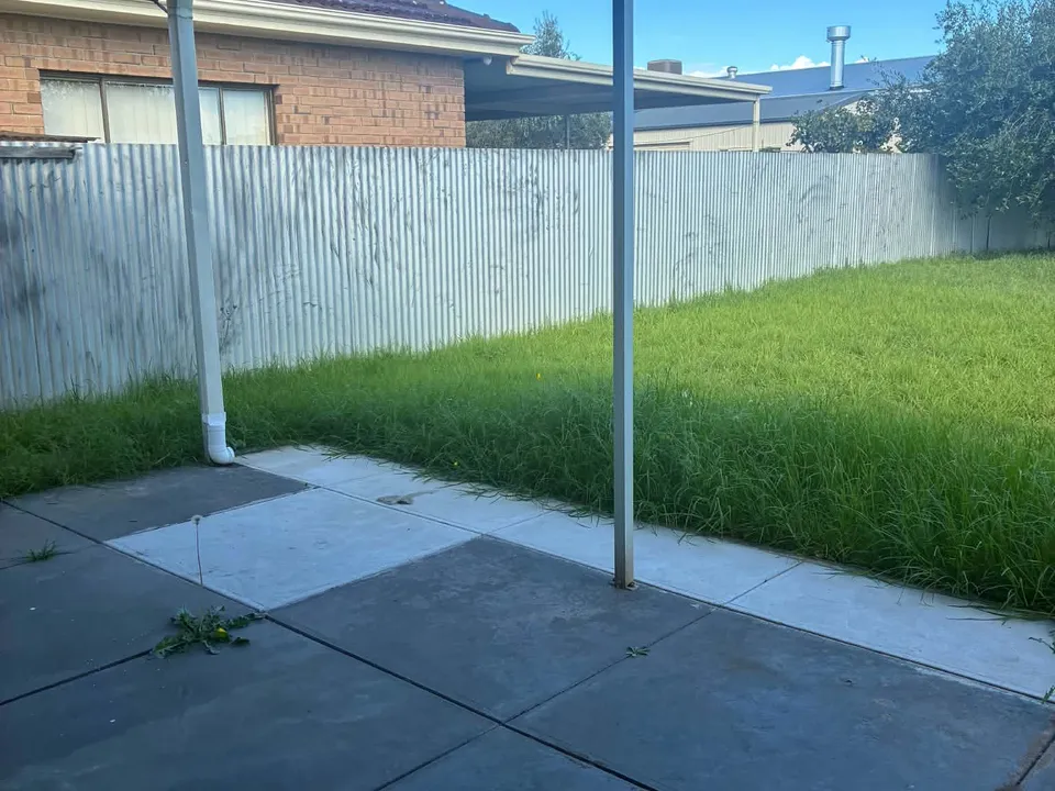 Long grass across a back yard, seen from under a pergola.