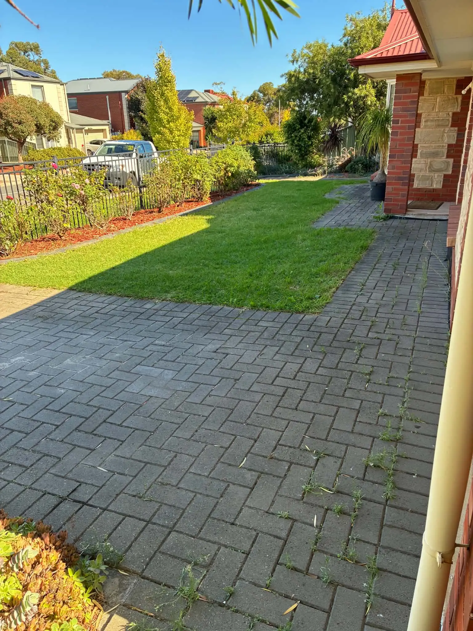 Brick paving in a front yard with weeds growing between the pavers, lawn beyond.