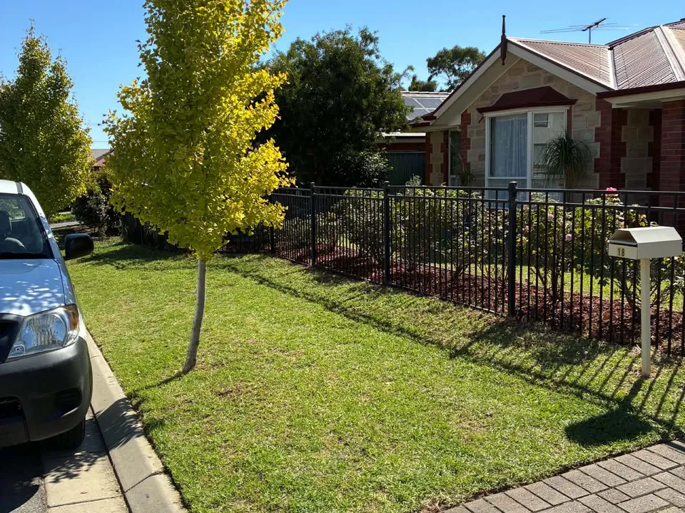 The same front lawn strip after mowing.