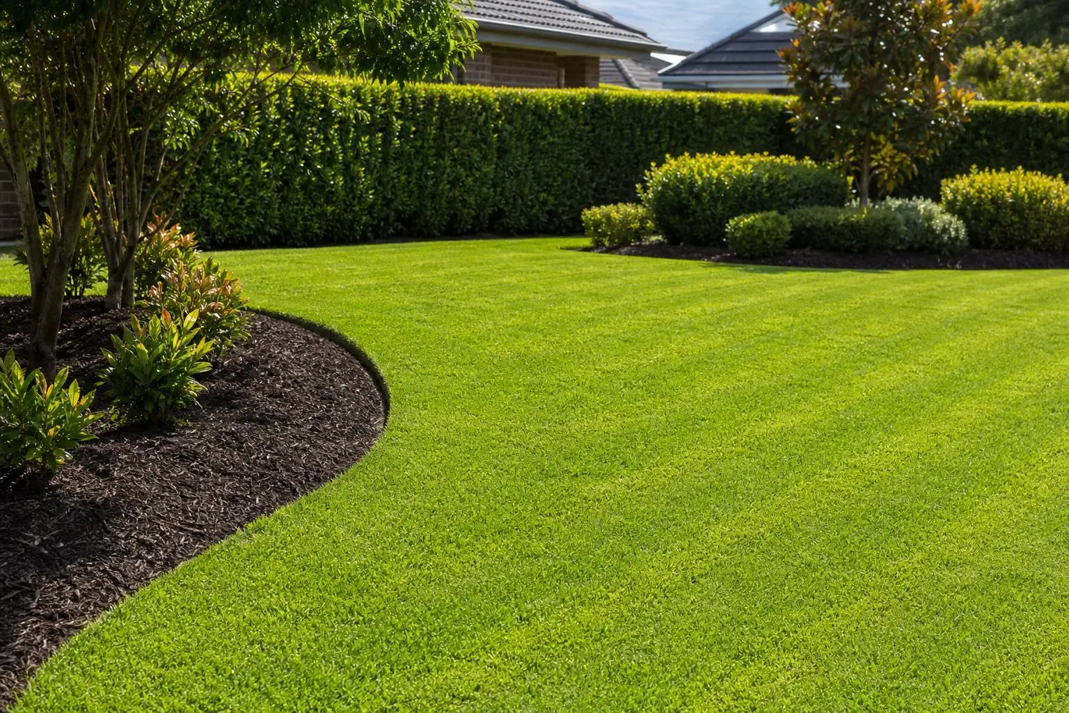 A mown lawn with a curved garden bed edge and clipped shrubs alongside a suburban house.
