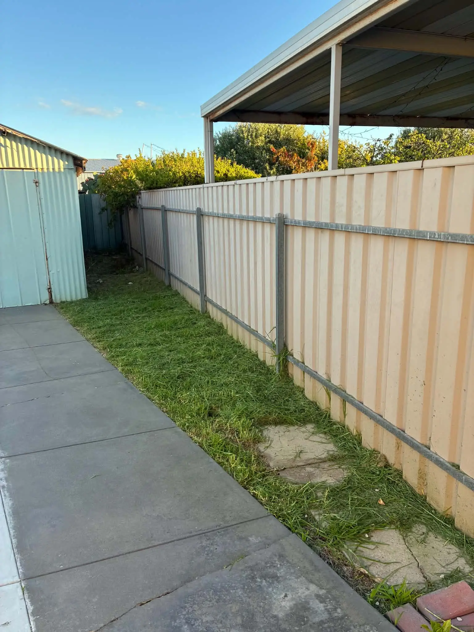 The same side path with the grass along the fence mown short.