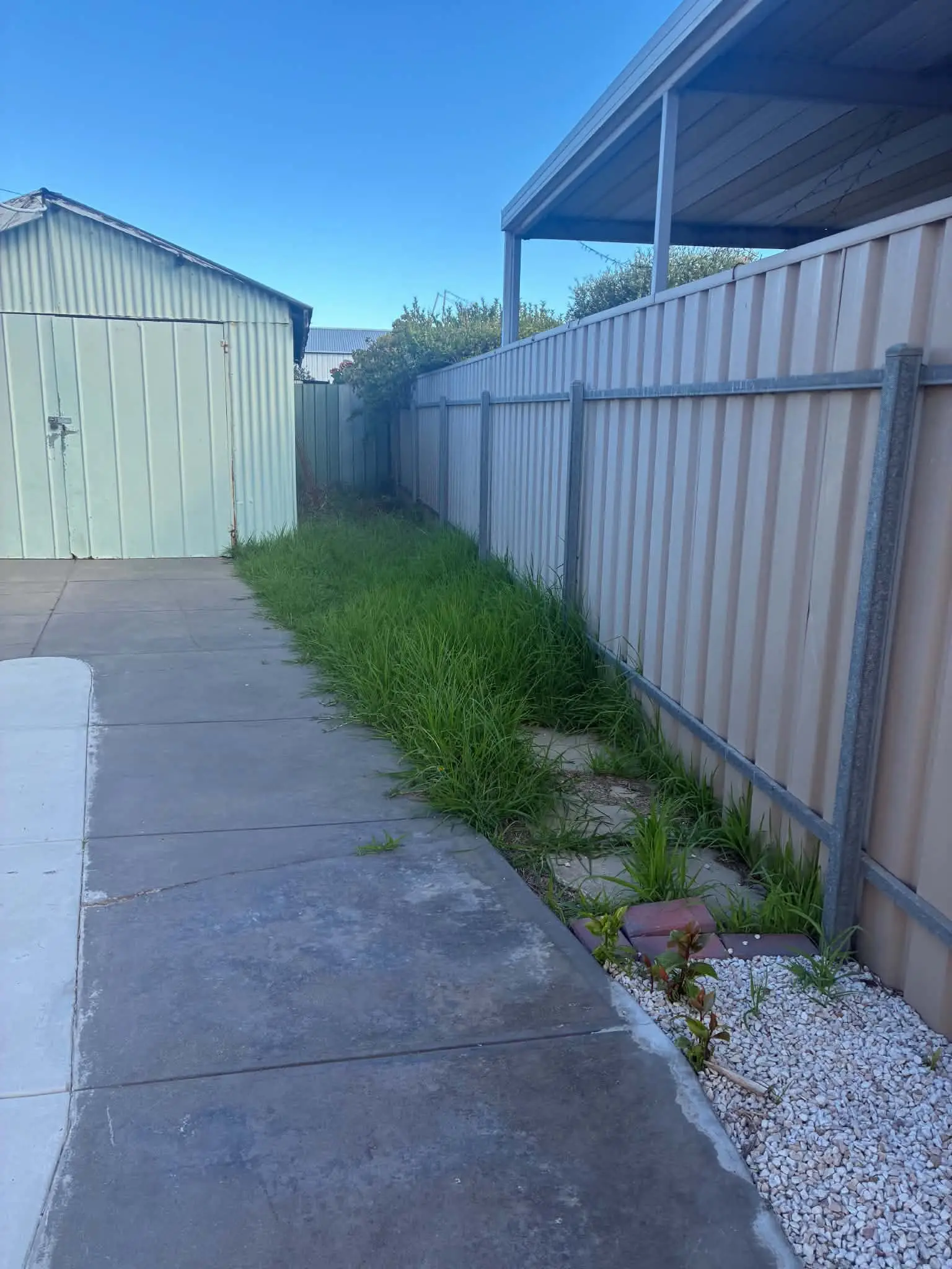 Long grass and weeds growing along a fence beside a concrete side path.